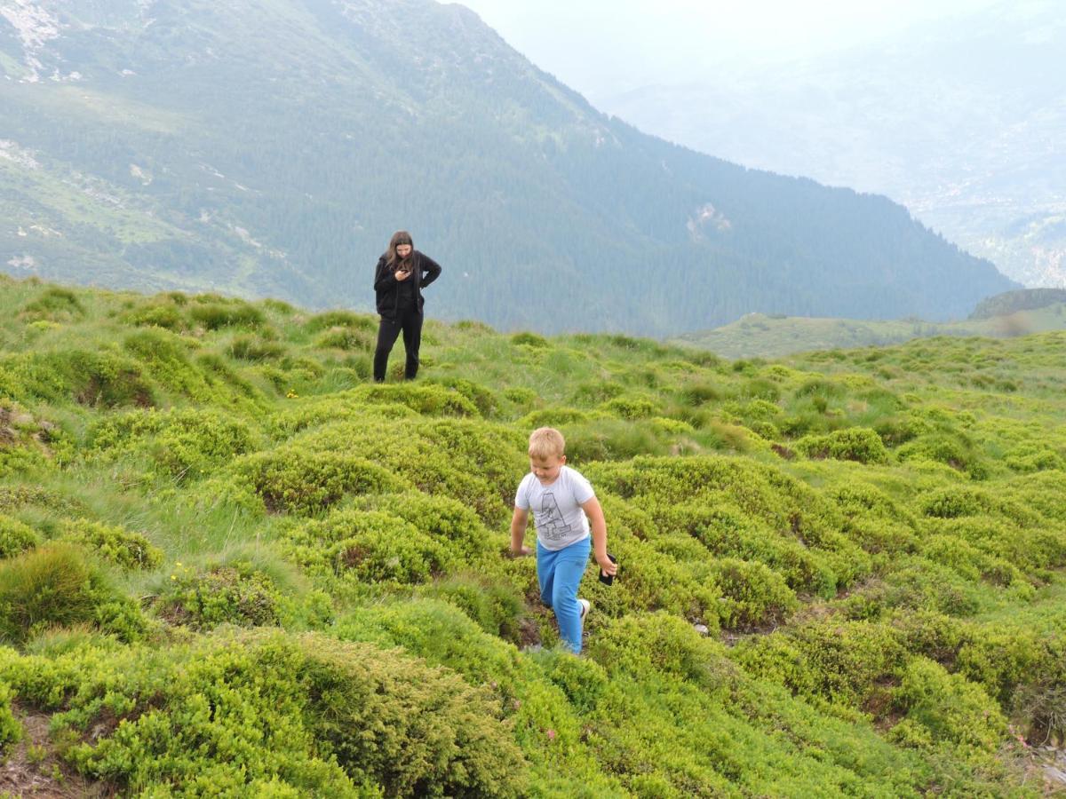 Pensiunea Bradul Dealu Stefanitei Dış mekan fotoğraf